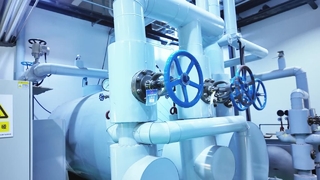 Green Biomanufacturing Boosts Farm Profit